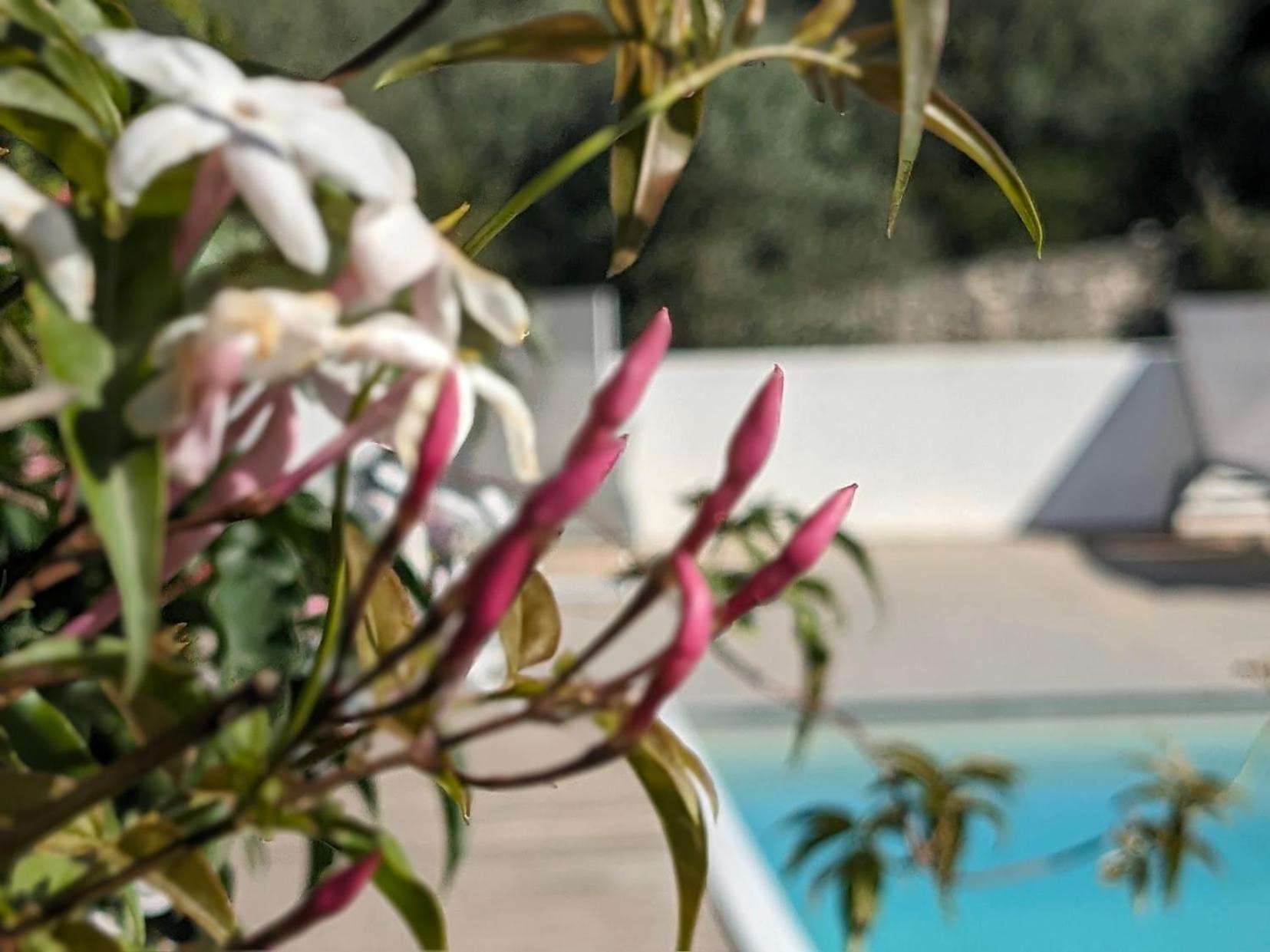 Casa Boho - Turismo Rural Alvados Esterno foto