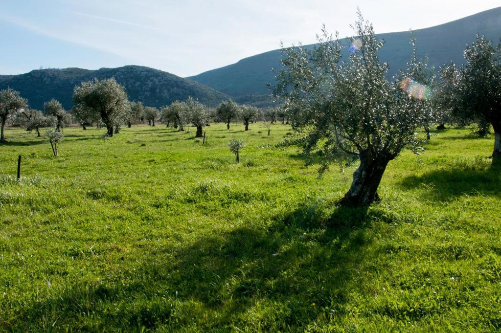 Casa Boho - Turismo Rural Alvados Esterno foto