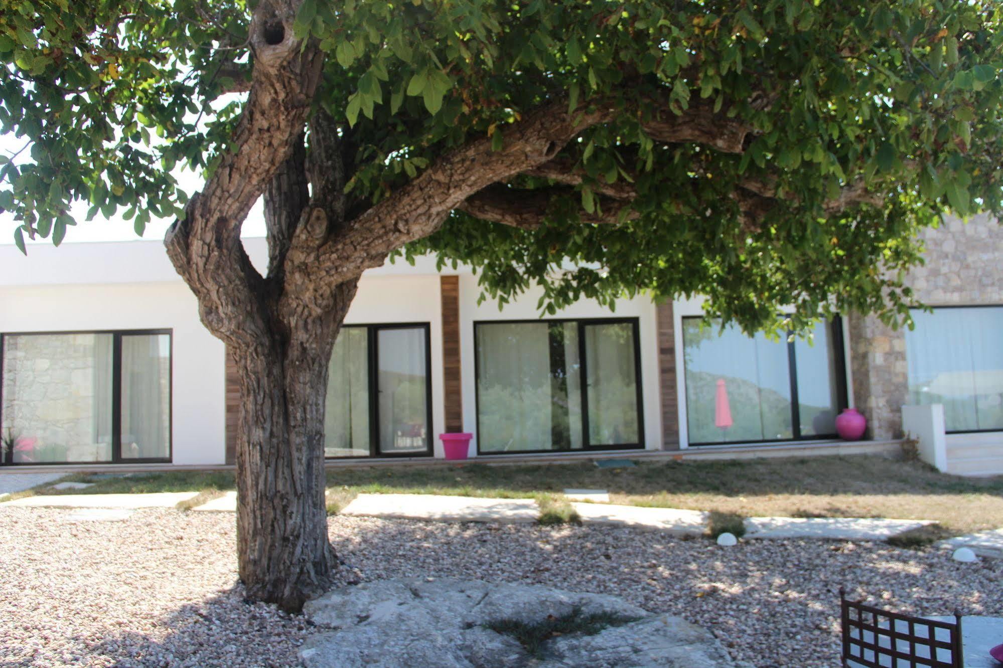Casa Boho - Turismo Rural Alvados Esterno foto